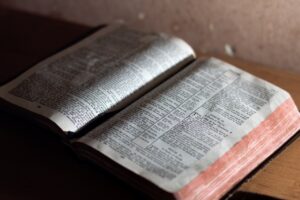 OGŁOSZENIA PARAFIALEN NA XXIV NIEDZIELĘ ZWYKŁĄ